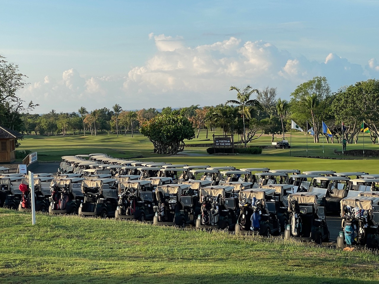 „Einladung“ MICE Golf Luxury Fam-Trip in die Dominikanische Republik, Destination Experience: 20.4. – 27.4.2024